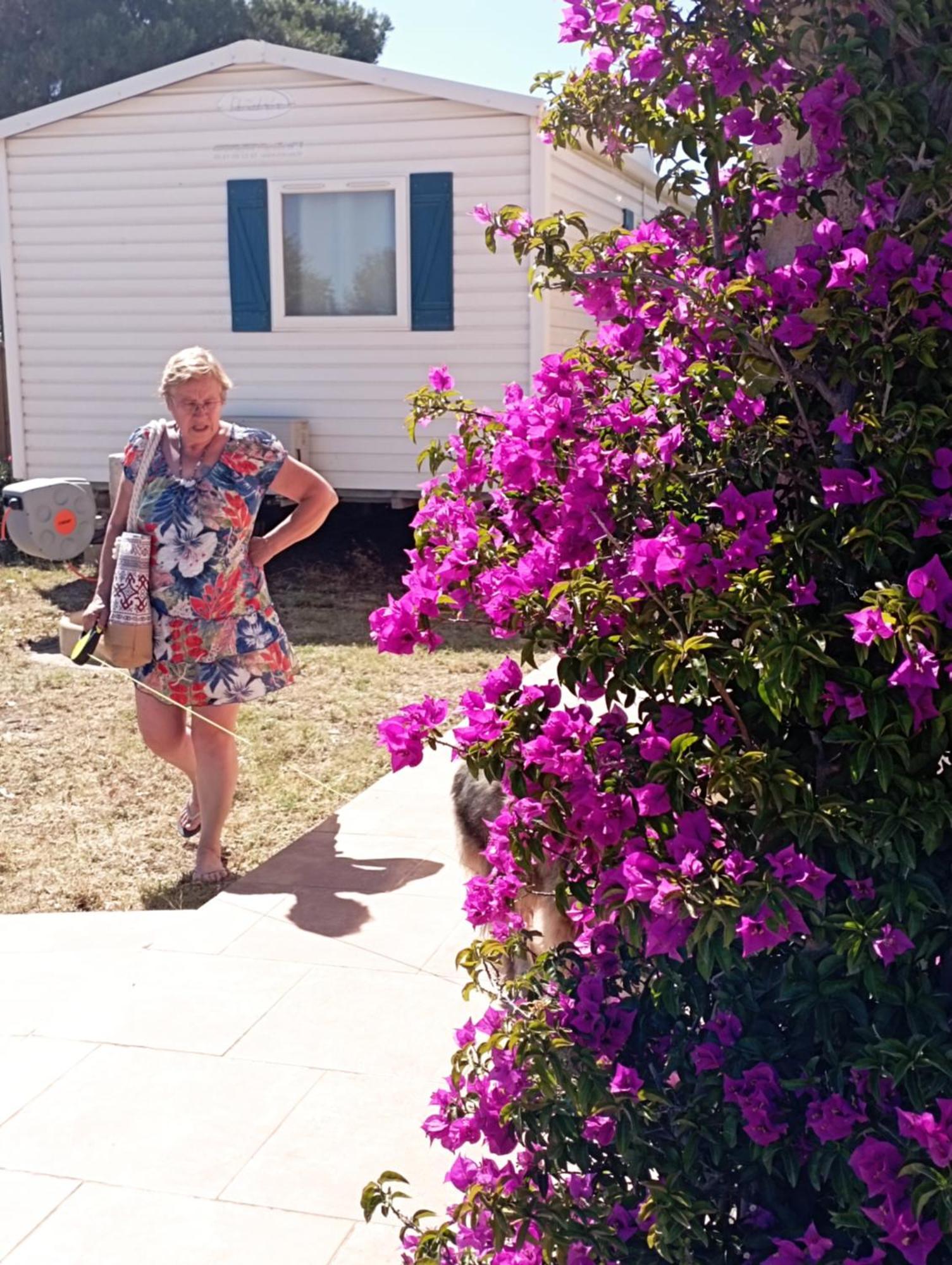 Camping A Port La Nouvelle Bagian luar foto
